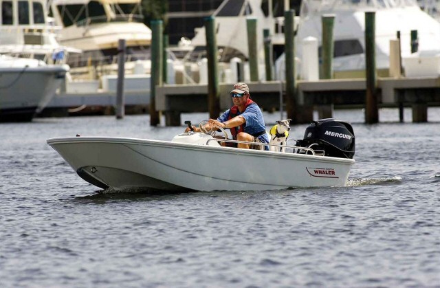 Boston Whaler 110 Tender