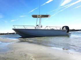 Boston Whaler 190 Montauk 2018