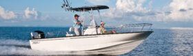 Boston Whaler 210 Montauk