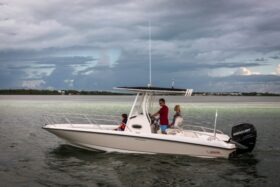 Boston Whaler 240 Dauntless