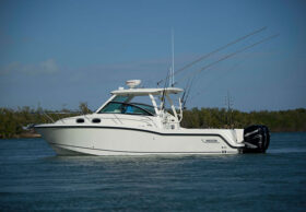 Boston Whaler 315 Conquest