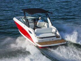 Sea Ray SDX 250