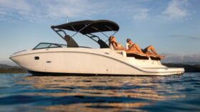 Sea Ray SDX 290